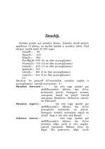 Referāts 'Zirnekļi', 2.