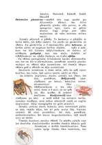 Referāts 'Zirnekļi', 3.