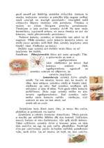 Referāts 'Zirnekļi', 4.