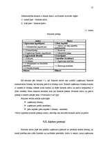 Diplomdarbs 'Bilances sastādīšana un analīze a/s "Liepājas autobusu parks”', 30.