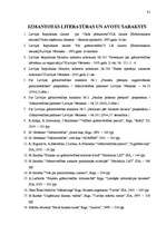 Diplomdarbs 'Bilances sastādīšana un analīze a/s "Liepājas autobusu parks”', 86.