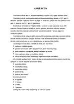 Diplomdarbs 'Bilances sastādīšana un analīze a/s "Liepājas autobusu parks”', 89.