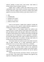 Referāts 'Mazo uzņēmumu attīstība', 11.