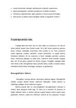 Referāts 'Mazo uzņēmumu attīstība', 13.