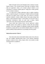 Referāts 'Mazo uzņēmumu attīstība', 15.