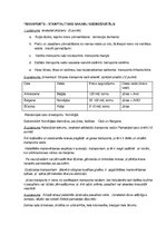 Konspekts 'Transports - starptautisko sakaru nodrošinātājs', 1.