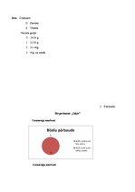 Konspekts 'Bezbiļetnieku ietekme uz uzņēmumu "Rīgas satiksme"', 23.