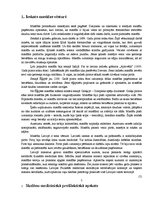 Referāts 'Masāžas skolā', 8.