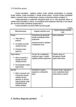 Referāts 'Masāžas skolā', 12.