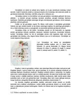 Referāts 'Masāžas skolā', 14.