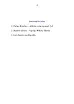 Referāts 'Māksla Senajā Romā (IV gs.p.m.ē. - V gs.m.ē)', 18.