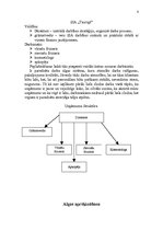 Biznesa plāns 'SIA "Tauriņš"', 8.