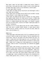 Konspekts 'Maņu orgāni', 2.