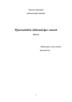 Referāts 'Deformācijas sensori', 1.
