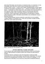 Referāts 'Биогеоценоз', 5.