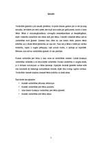 Referāts 'Fiziskā vardarbība pret bērnu ģimenē', 3.