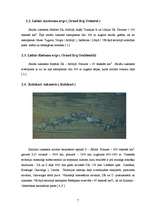 Referāts 'Tuksneši', 7.