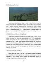 Referāts 'Tuksneši', 11.