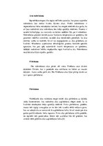 Prakses atskaite 'AS "Aldaris" alus produkts "Porteris"', 5.