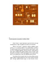 Prakses atskaite 'AS "Aldaris" alus produkts "Porteris"', 6.