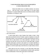 Referāts 'Paklāji', 4.