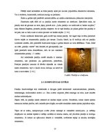 Referāts 'Paklāji', 10.