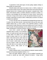 Referāts 'Paklāji', 14.