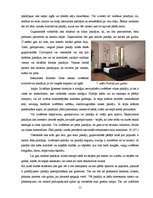 Referāts 'Paklāji', 15.