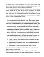 Referāts 'Paklāji', 16.