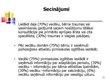 Prezentācija 'Bērnu veselības aprūpe adaptācijas periodā pirmsskolas izglītības iestādē', 13.