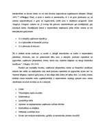 Eseja 'Potenciālās krīzes situācijas azartspēļu biznesā', 2.