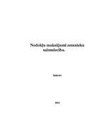 Referāts 'Nodokļu maksājumi zemnieku saimniecībā', 1.