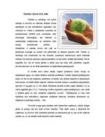 Eseja 'Tiesības dzīvot tīrā vidē', 1.