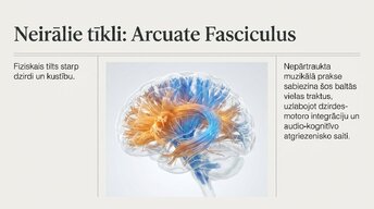 Prezentācija 'Kā muzikālā apmācība ietekmē kognitīvo attīstību', 6.