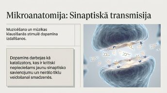 Prezentācija 'Kā muzikālā apmācība ietekmē kognitīvo attīstību', 7.