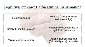 Prezentācija 'Kā muzikālā apmācība ietekmē kognitīvo attīstību', 10.