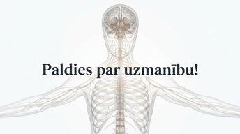 Prezentācija 'Kā muzikālā apmācība ietekmē kognitīvo attīstību', 16.