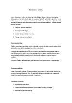 Referāts 'Renesanses cilvēks', 1.