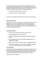 Referāts 'Renesanses cilvēks', 3.