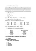 Konspekts 'Bērna runas un valodas izpēte pirmsskolas vecumā', 2.