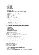 Konspekts 'Bērna runas un valodas izpēte pirmsskolas vecumā', 3.