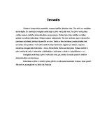 Prezentācija 'Krāsas', 16.