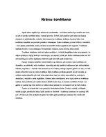 Prezentācija 'Krāsas', 19.