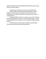 Prezentācija 'Krāsas', 22.