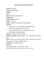 Konspekts 'Stundas konspekts vizuālajā mākslā 1.klasei', 1.