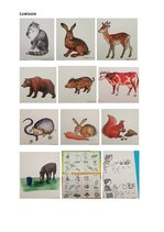 Prezentācija 'Bērna runas pārbaude pirmsskolā', 14.