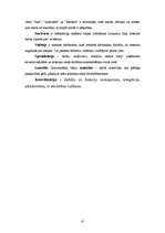 Referāts 'Uzņēmuma uzbūve un vadīšana', 27.