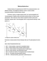 Konspekts 'Mukopolisaharidoze', 4.