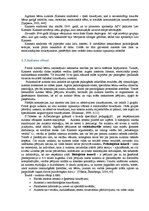 Referāts 'Autisms', 5.