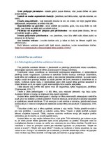 Referāts 'Autisms', 8.